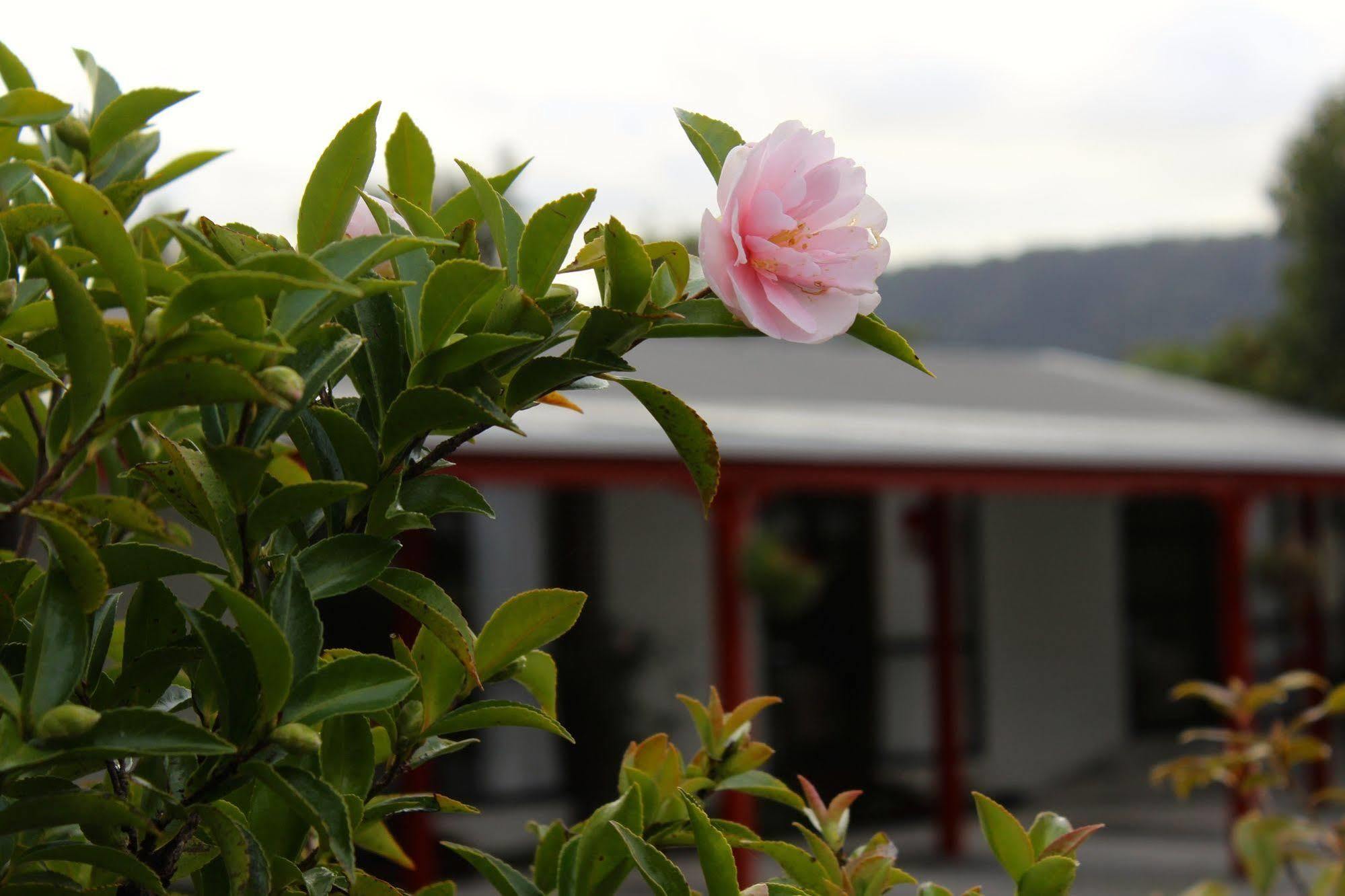 Lake Matheson Motel Fox Glacier Luaran gambar